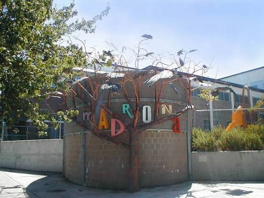 The Madrona letters sculpture on its tree, a landmark in Seattle's Madrona neighborhood